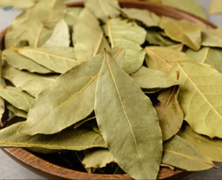 Bay Leaf