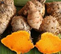Arrowroot