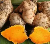 Arrowroot