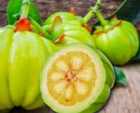 Garcinia Cambogia (Malabar Tamarind)