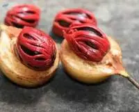 Nutmeg and Mace