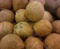 Brown Fresh Coconut