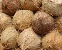 Husked Pollachi Coconut