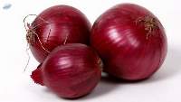 Fresh Red Onion