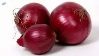 Fresh Red Onion