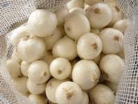Fresh White Onion