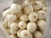 Fresh White Onion