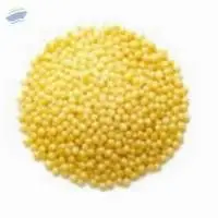 Foxtail Millet