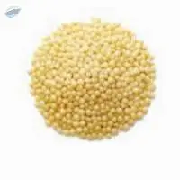Kodo Millet