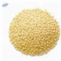 Barnyard millet