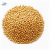 Browntop millet