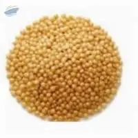 Browntop millet
