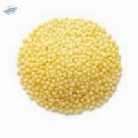 Proso Millet