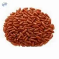 Red Rice