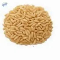 Brown Rice