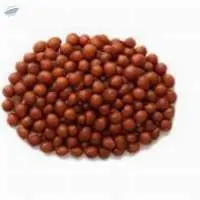 Red Sorghum