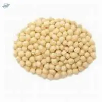 Pearl Millet