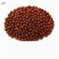 Finger Millet