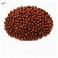 Finger Millet