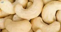 Cashew Nut