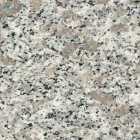 Granite Tiles Wholesale Export Grade