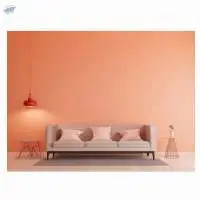 Interior Wall Paint  