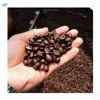 Low price Coffee Beans