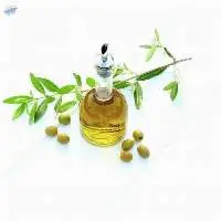 Olive Oil Bulk Supply Wholesale