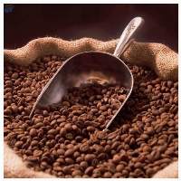 Robusta Coffee Beans