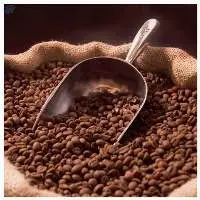 Robusta Coffee Beans