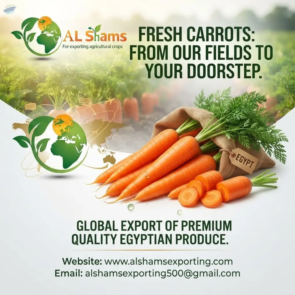 Fresh Carrot
