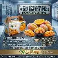 Frozen Mango