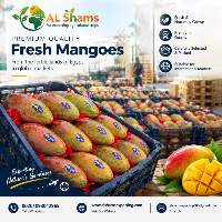 Fresh Mango