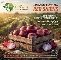 Red Onion