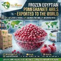 Frozen Pomegranate