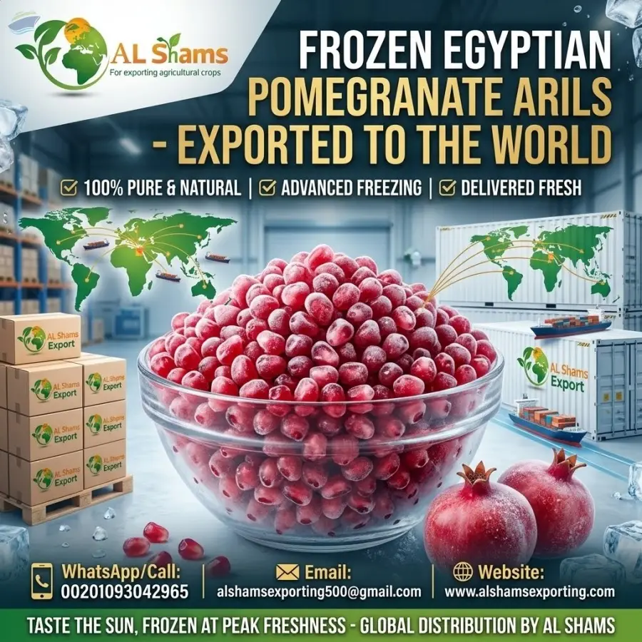 Frozen Pomegranate