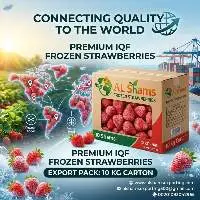 Frozen Strawberry