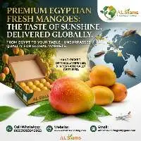 Fresh Mango