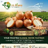 Fresh Onion