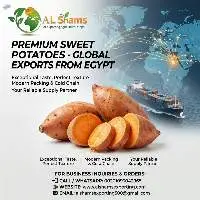 Sweet Potato