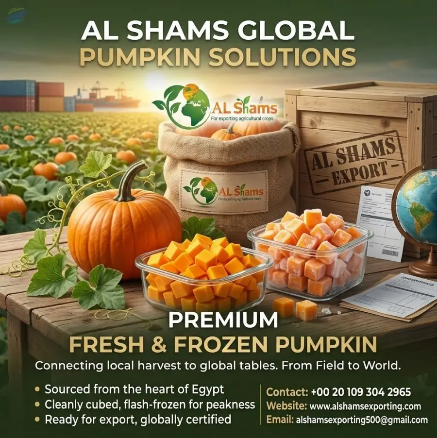 Premium Pumpkin