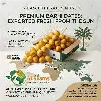 Barhi Dates