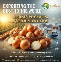 Golden Onion