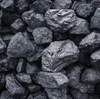 Premium Coal Thermal Premium 7717 Kcal