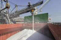 Urea 46% Nitrogen (Prilled/Granular)