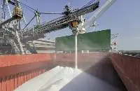 Urea 46% Nitrogen (Prilled/Granular)