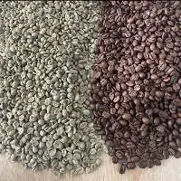 Green Coffee Beans (Arabica & Robusta)