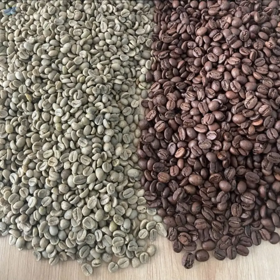 Green Coffee Beans (Arabica & Robusta)