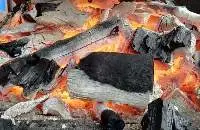 Premium Lump Charcoal