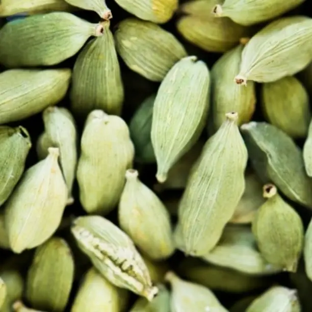 Green Cardamom